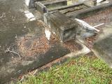 image of grave number 370289